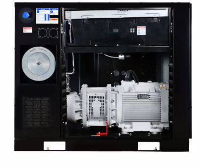 2026 ELGi EQ Series 25–60 HP - Image 11